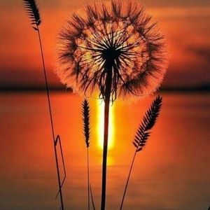 Meet your Posher, Ashlynn